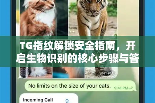 TG指纹解锁安全指南，开启生物识别的核心步骤与答疑-第1张图片-纸飞机下载 - Telegeram官网版下载