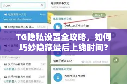 TG隐私设置全攻略，如何巧妙隐藏最后上线时间？-第1张图片-纸飞机下载 - Telegeram官网版下载