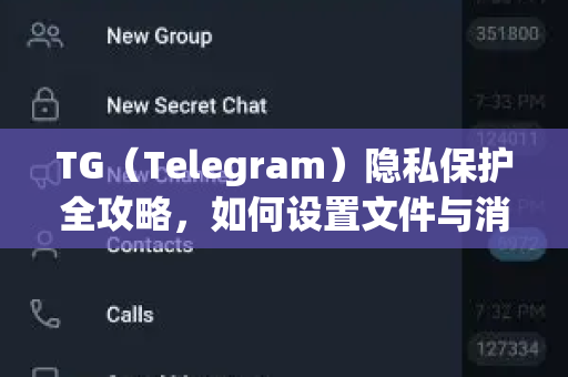 TG（Telegram）隐私保护全攻略，如何设置文件与消息不被自动保存？-第1张图片-纸飞机下载 - Telegeram官网版下载