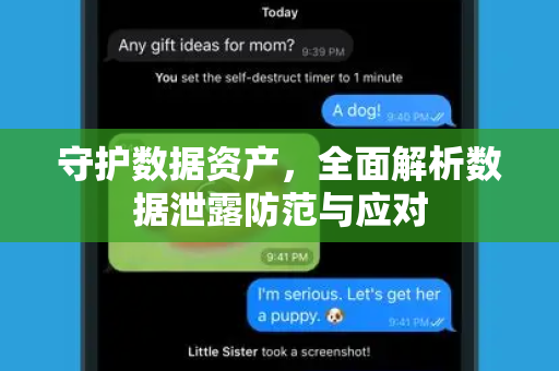 守护数据资产，全面解析数据泄露防范与应对-第1张图片-纸飞机下载 - Telegeram官网版下载