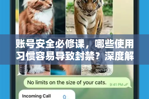 账号安全必修课，哪些使用习惯容易导致封禁？深度解析与避坑指南-第1张图片-纸飞机下载 - Telegeram官网版下载