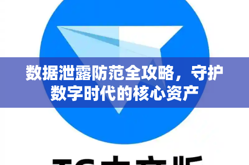 数据泄露防范全攻略，守护数字时代的核心资产