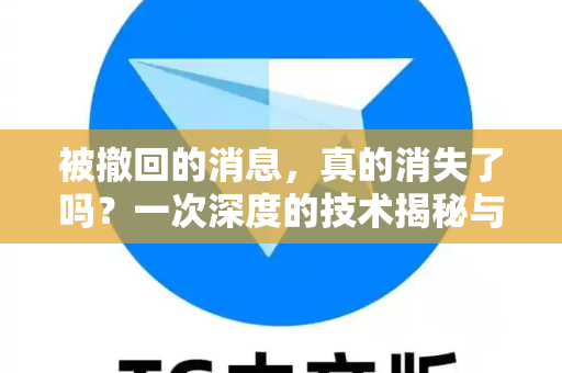 被撤回的消息，真的消失了吗？一次深度的技术揭秘与应对指南-第1张图片-纸飞机下载 - Telegeram官网版下载