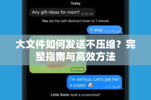 大文件如何发送不压缩？完整指南与高效方法-第1张图片-纸飞机下载 - Telegeram官网版下载