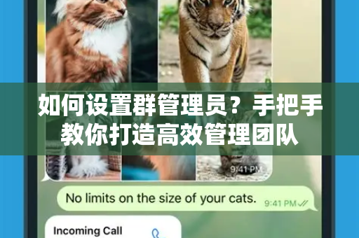 如何设置群管理员？手把手教你打造高效管理团队