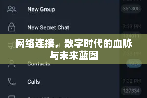 网络连接，数字时代的血脉与未来蓝图
