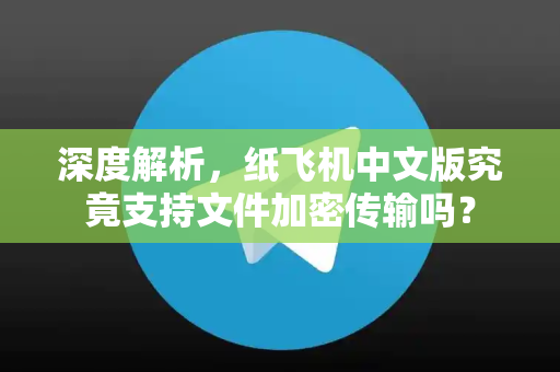 深度解析，纸飞机中文版究竟支持文件加密传输吗？