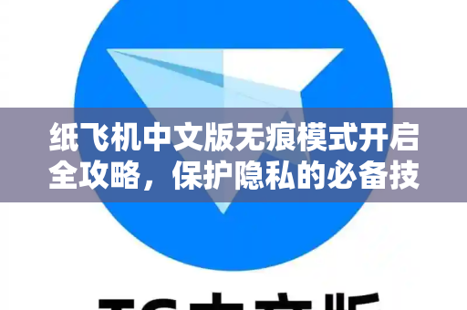 纸飞机中文版无痕模式开启全攻略，保护隐私的必备技巧