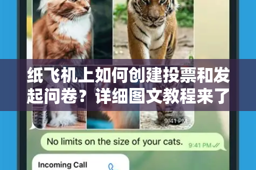 纸飞机上如何创建投票和发起问卷?详细图文教程来了!-第1张图片-纸飞机下载 - Telegeram官网版下载 纸飞机上如何创建投票和发起问卷?详细图文教程来了!-第1张图片-纸飞机下载 - Telegeram官网版下载