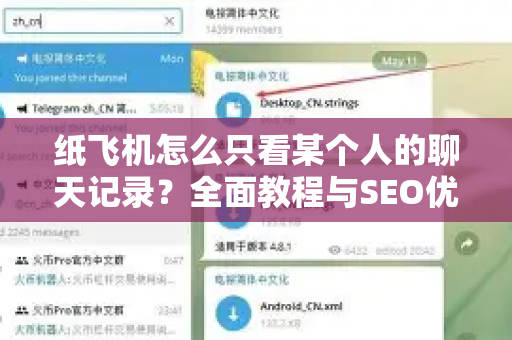 纸飞机怎么只看某个人的聊天记录？全面教程与SEO优化指南-第1张图片-纸飞机下载 - Telegeram官网版下载